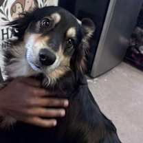 Thumbnail photo of CT Scruggs #2