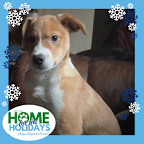 Thumbnail photo of Glow #1