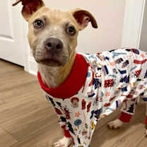 Thumbnail photo of Miso #2