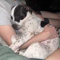 Thumbnail photo of Nina #1