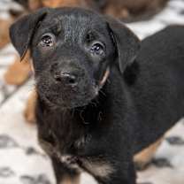 Thumbnail photo of Ketchikan #1