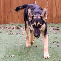 Thumbnail photo of Angelina JuM #3