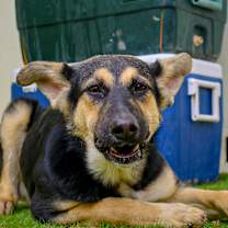 Thumbnail photo of Angelina JuM #4