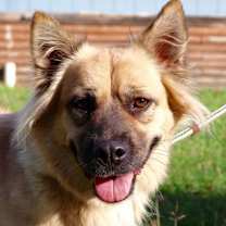 Thumbnail photo of Chloe JuM #1