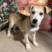 Thumbnail photo of Narnia #1