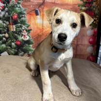 Thumbnail photo of Narnia #2