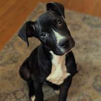 Thumbnail photo of Branch [Foster Home] #1