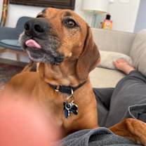 Thumbnail photo of Sybil #3