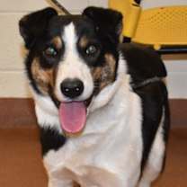 Thumbnail photo of 91884 Chance #1