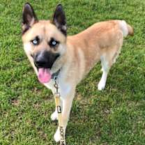 Thumbnail photo of Tito #3