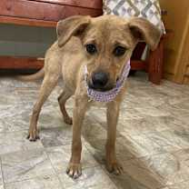 Thumbnail photo of Kenzie #1