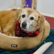 Thumbnail photo of Jasmin #1