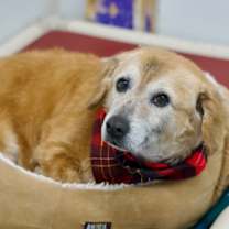 Thumbnail photo of Jasmin #2