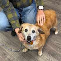 Thumbnail photo of Jasmin #3