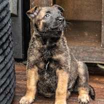 Thumbnail photo of Fairbanks #2