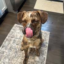 Thumbnail photo of Rosanna #2