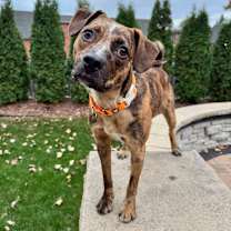 Thumbnail photo of Rosanna #3