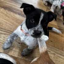 Thumbnail photo of Freya #3