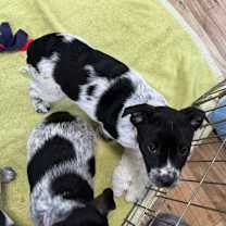 Thumbnail photo of Faye #3