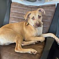 Thumbnail photo of Daisy #3