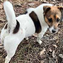 Thumbnail photo of Liza #1