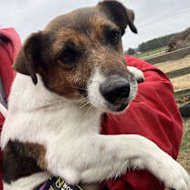 Thumbnail photo of Liza #2