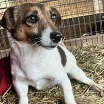 Thumbnail photo of Liza #4