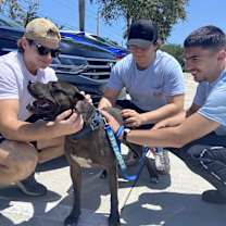 Thumbnail photo of Ace #3