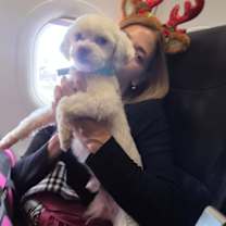 Thumbnail photo of Chester #4