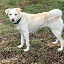 Thumbnail photo of Mara #2