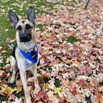 Thumbnail photo of Gemma #1