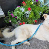 Thumbnail photo of Max #1