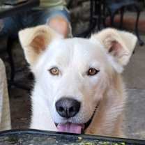 Thumbnail photo of Max #2