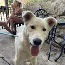 Thumbnail photo of Max #3