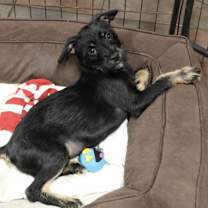 Thumbnail photo of Sour #3