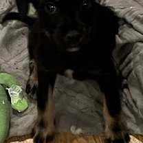 Thumbnail photo of Sour #4