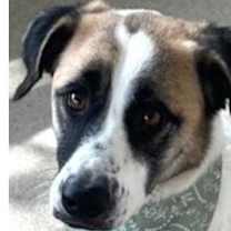 Thumbnail photo of Aimee #1