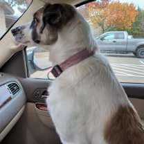 Thumbnail photo of Aimee #2