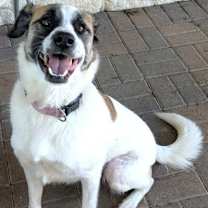 Thumbnail photo of Aimee #3