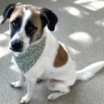 Thumbnail photo of Aimee #4