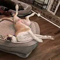 Thumbnail photo of Frank #1