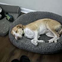 Thumbnail photo of Frank #3