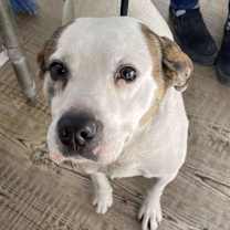 Thumbnail photo of Jocko #2