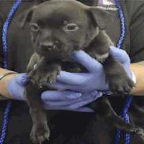 Thumbnail photo of Barry #4