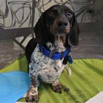 Thumbnail photo of Oskar #4