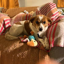 Thumbnail photo of Freya #3