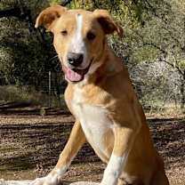 Thumbnail photo of Bruno #2