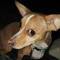 Thumbnail photo of Dela #3