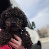 Thumbnail photo of The Fridge  #1