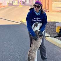 Thumbnail photo of Iris* #4